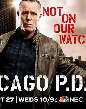 《芝加哥警署第五季》