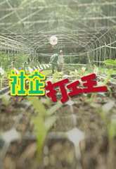 《社企打工王》