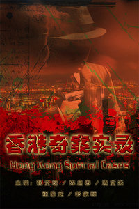 香港奇案实录海报