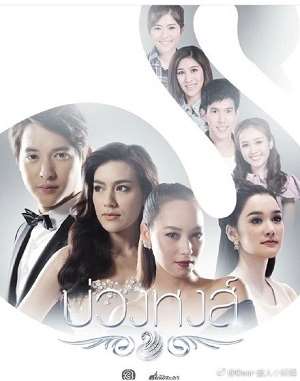 《新天鹅套索2017》