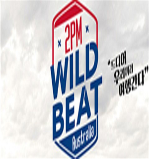 2PM WILD BEAT海报