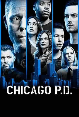 芝加哥警署第六季海报