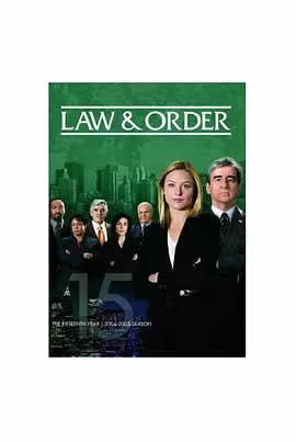 法律与秩序第十五季海报