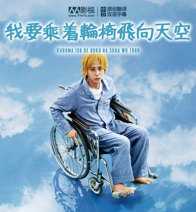 我要乘着轮椅飞向天空海报
