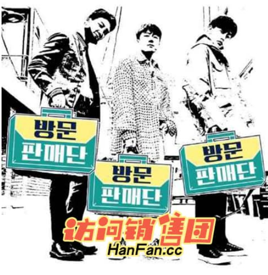 《访问销售团》