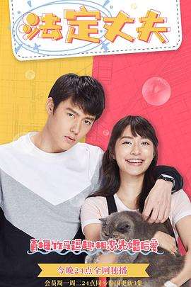 《我的法定老公》