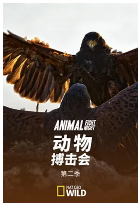 动物搏击会第二季海报