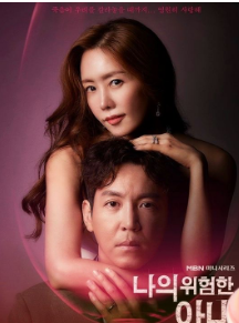 《我的危险妻子》