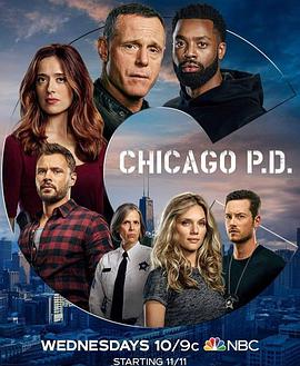 《芝加哥警署第八季》