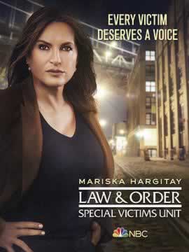 法律与秩序特殊受害者第二十二季海报
