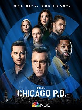 《芝加哥警署第九季》