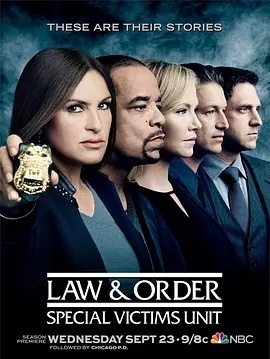 法律与秩序：特殊受害者第十七季海报