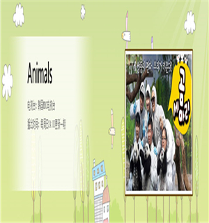 Animals海报