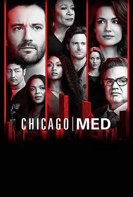 《芝加哥医院第四季》