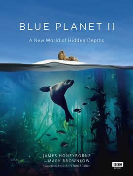 蓝色星球2海报