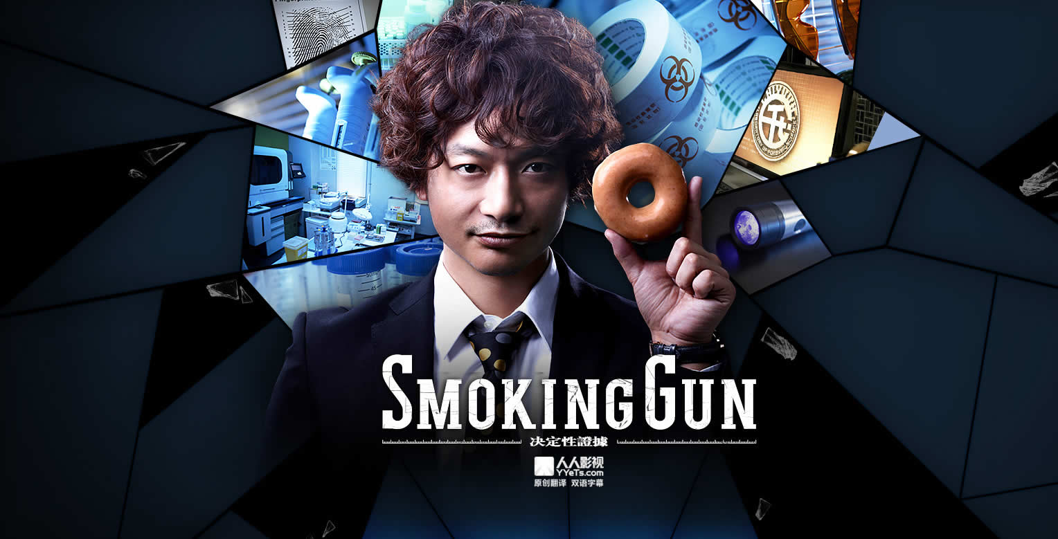 SMOKING GUN～决定性证据～海报