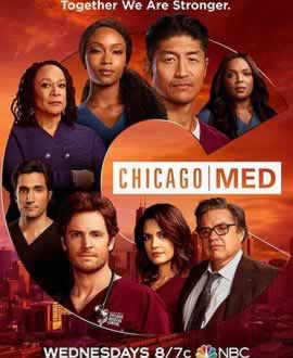 《芝加哥医院芝加哥急救第六季》