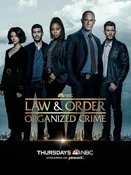 《法律与秩序·组织犯罪第三季》